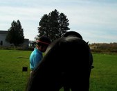 Enlarge photo 127