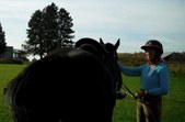 Enlarge photo 126