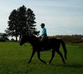 Enlarge photo 108