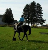 Enlarge photo 114
