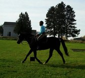 Enlarge photo 115