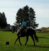 Enlarge photo 118