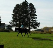 Enlarge photo 109
