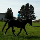 Enlarge photo 110