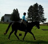 Enlarge photo 111