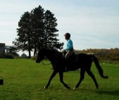 Enlarge photo 112
