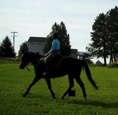 Enlarge photo 113