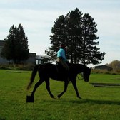 Enlarge photo 119