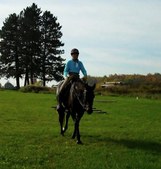 Enlarge photo 122