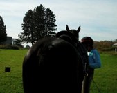 Enlarge photo 125