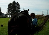 Enlarge photo 124