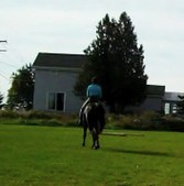 Enlarge photo 121