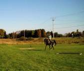 Enlarge photo 131