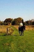 Enlarge photo 133