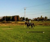 Enlarge photo 130