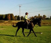 Enlarge photo 135