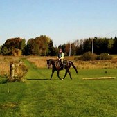 Enlarge photo 137
