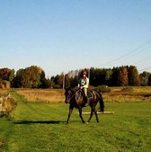 Enlarge photo 136