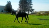 Enlarge photo 104
