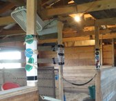 Enlarge photo 138