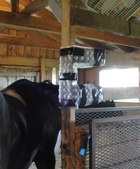 Enlarge photo 140