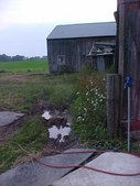 August 27, 2004 horses