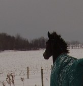 Enlarge photo 25