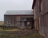 Enlarge photo 94