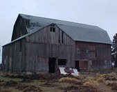Enlarge photo 105