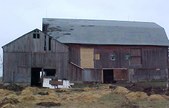 Enlarge photo 106