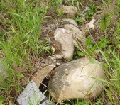 Enlarge photo 16