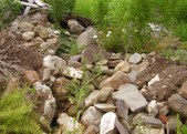 Enlarge photo 10
