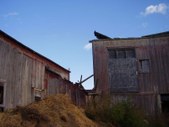 Enlarge photo 32