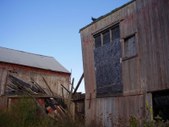 Enlarge photo 33
