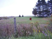 Enlarge photo 49