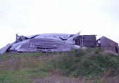 Enlarge photo 48