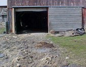 Enlarge photo 104