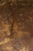 Enlarge photo 109