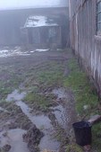 Enlarge photo 124