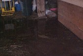 Enlarge photo 123