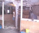 Enlarge photo 16