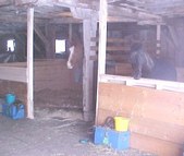 Enlarge photo 17