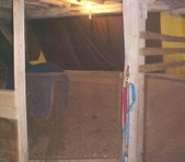Enlarge photo 27