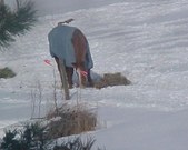 Enlarge photo 48