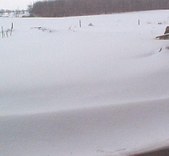 Enlarge photo 39