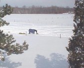 Enlarge photo 47