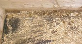 Enlarge photo 98