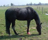Enlarge photo 139