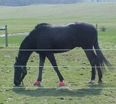 Enlarge photo 142