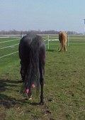 Enlarge photo 140